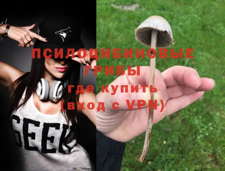 Псилоцибиновые грибы Magic Shrooms  наркошоп  Владикавказ 